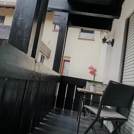 Gruener Baum - Im Murgtal, Schwarzwald