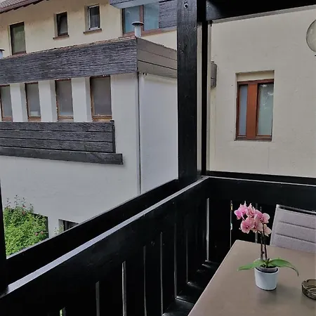 Отель Gruener Baum - Im Murgtal, Schwarzwald Вайзенбах