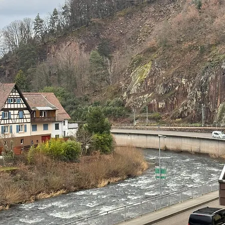 Gruener Baum - Im Murgtal, Schwarzwald Weisenbach
