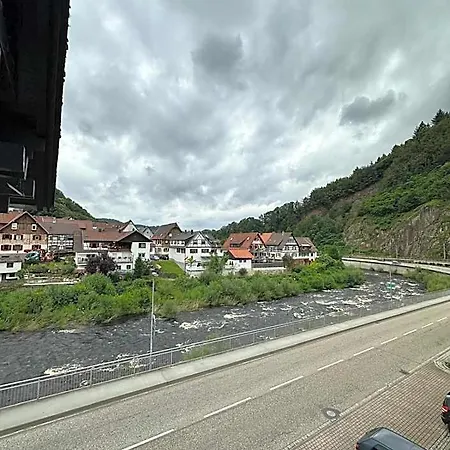 Gruener Baum - Im Murgtal, Schwarzwald