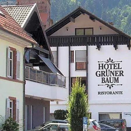 Gruener Baum - Im Murgtal, Schwarzwald * Weisenbach